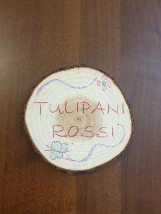 Appartamento I Tulipani. Camera I Tulipani Rossi Barberino di Mugello Exterior foto